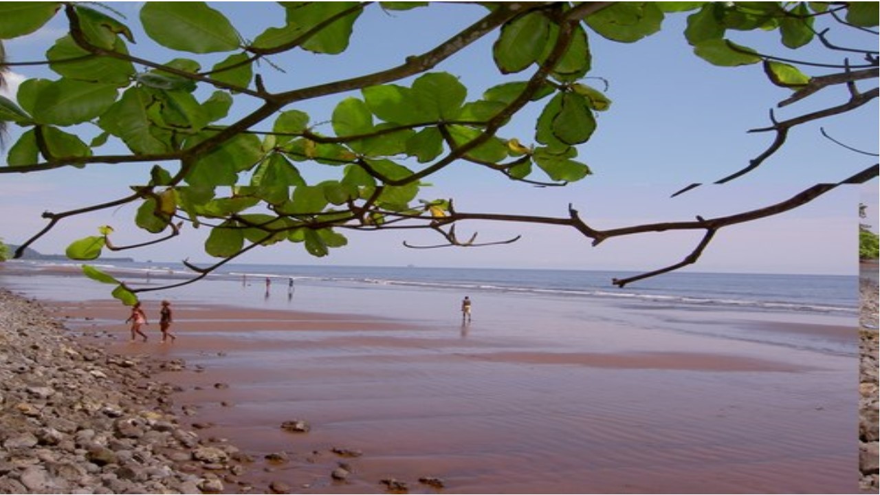 plage de Limbé